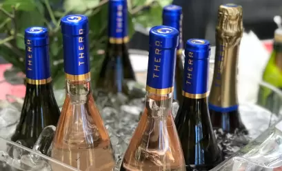 Dicas de vinhos refrescantes para curtir na piscina ou à beira-mar