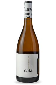 Vinho Cata Chardonnay Barricado