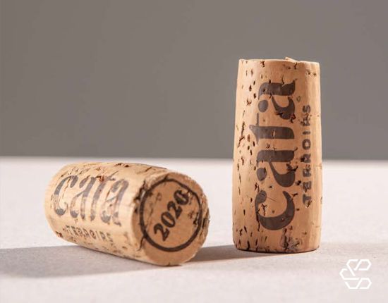 Vinho Cata Sangiovese Cabernet Sauvignon