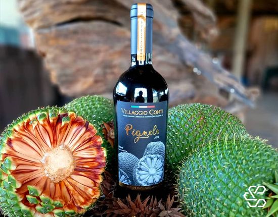 Vinho Pignolo