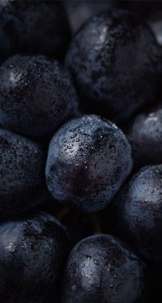 Vinho Quinta da Neve Sangiovese