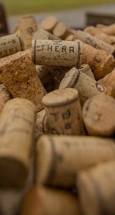 Vinho Thera Rosé
