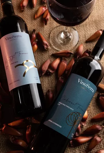 Vinícola VinoSerra