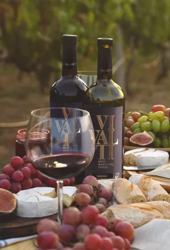 Vinícola Vivalti